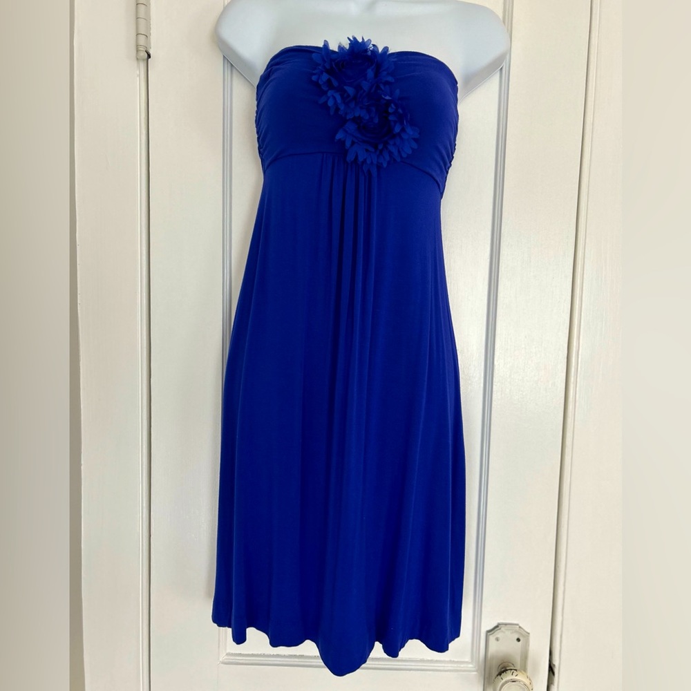 Soma Strapless Dress w/ detachable straps